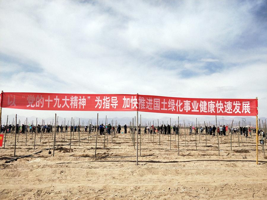 �Ĺ����ڲμ�����ֲ��ʱǿ����������ľǧ������ɳ��ɫ���ǹ����������ľ������̬��λ